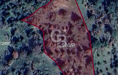 Balıkesir Burhaniye'de Yatırımlık Fırsat Tarla