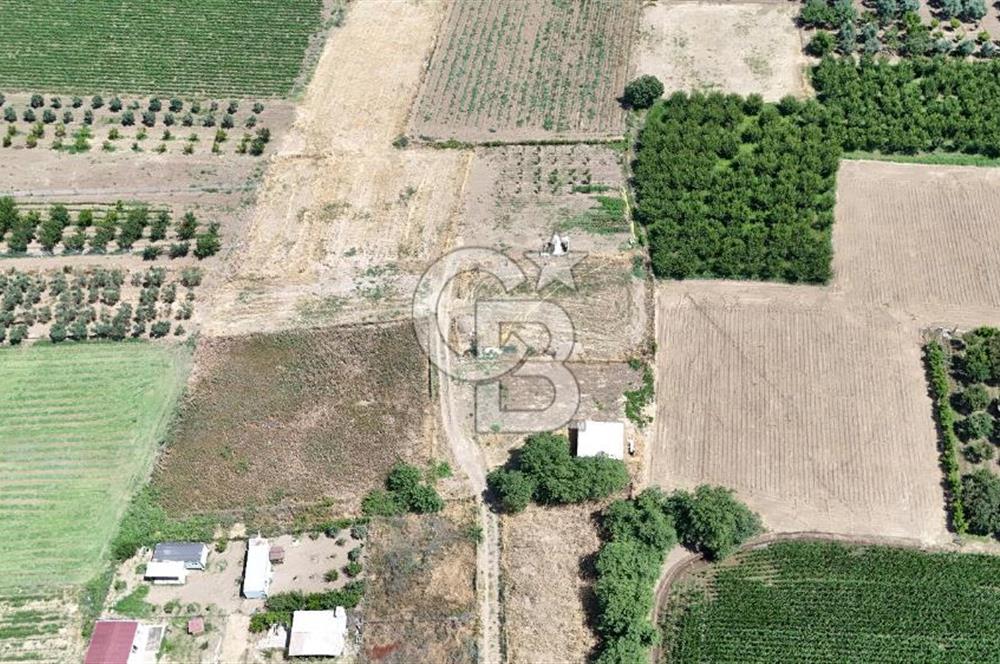 NOVADA AVM YAKINI 4.830 m² ARSA İÇİNDE KABA İNŞAAT MÜSTAKİL EV
