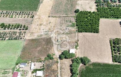 NOVADA AVM YAKINI 4.830 m² ARSA İÇİNDE KABA İNŞAAT MÜSTAKİL EV