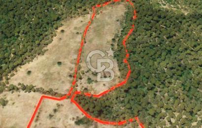 ÇANAKKALE BAYRAMİÇ HACIBEKİRLER KÖYÜ SATILIK TARLA