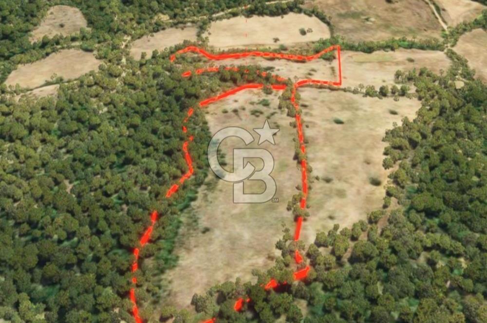 ÇANAKKALE BAYRAMİÇ HACIBEKİRLER KÖYÜ SATILIK TARLA