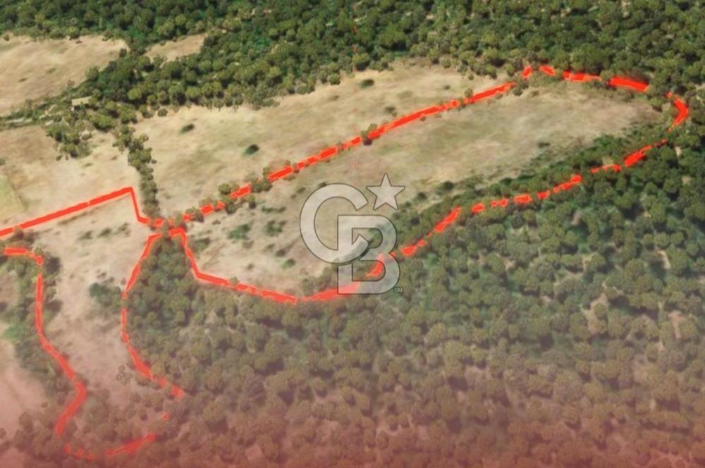 ÇANAKKALE BAYRAMİÇ HACIBEKİRLER KÖYÜ SATILIK TARLA