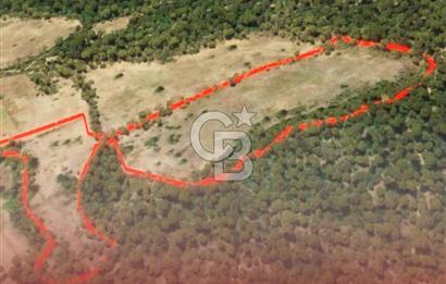 ÇANAKKALE BAYRAMİÇ HACIBEKİRLER KÖYÜ SATILIK TARLA