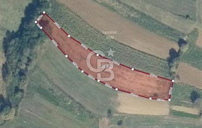 CB Fly'dan Sahillere Çok Yakın Yola Bir Parsel 2761 m² Tarla