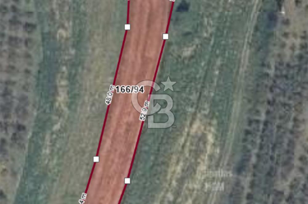 CB Fly'dan Sahillere Çok Yakın Yola Bir Parsel 1522 m² Tarla