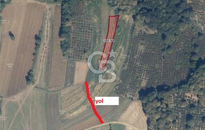 CB Fly'dan Sahillere Çok Yakın Yola Bir Parsel 1522 m² Tarla