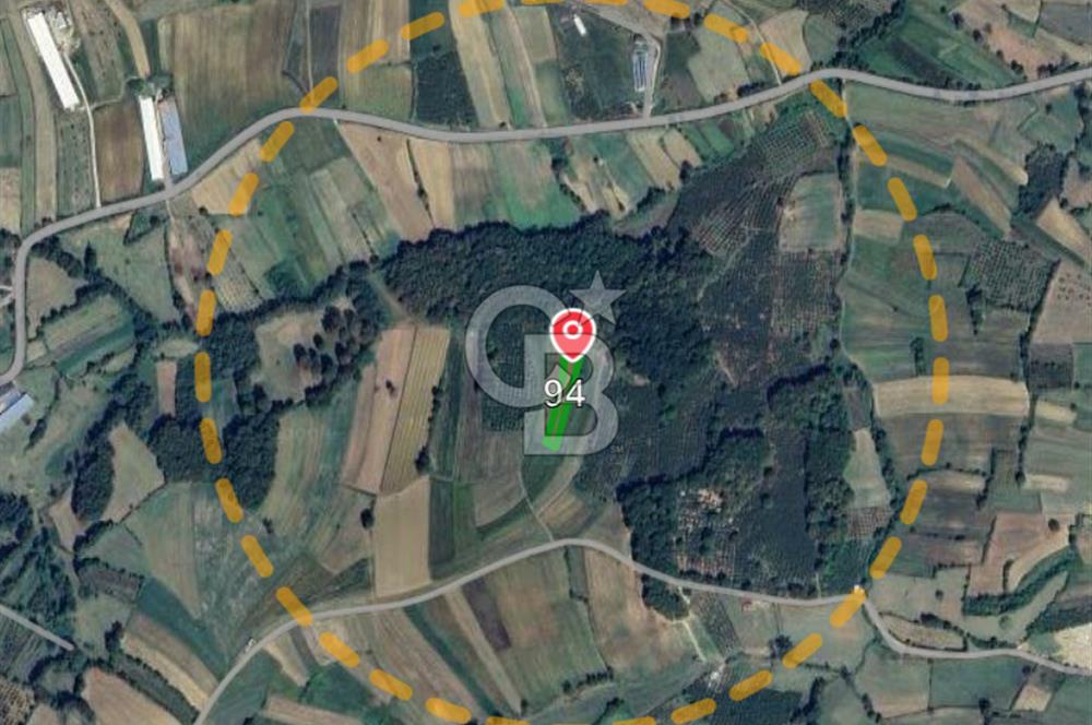 CB Fly'dan Sahillere Çok Yakın Yola Bir Parsel 1522 m² Tarla