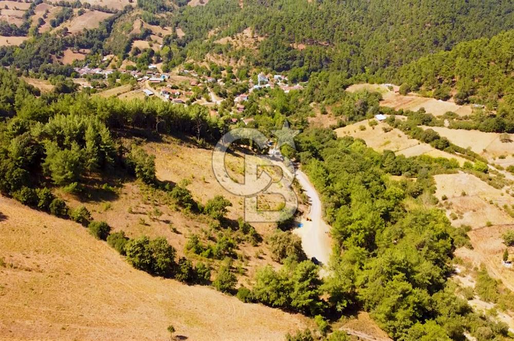 Çanakkalenin Kazandıran Bölgesi Çan'da NEF Projesine Yakın Arsa