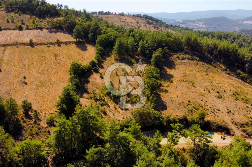 Çanakkalenin Kazandıran Bölgesi Çan'da NEF Projesine Yakın Arsa