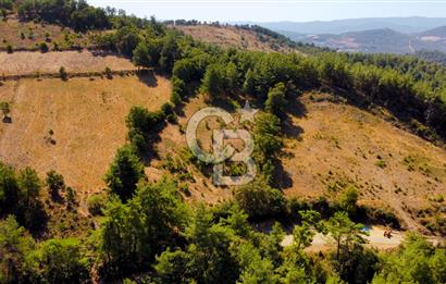 Çanakkalenin Kazandıran Bölgesi Çan'da NEF Projesine Yakın Arsa