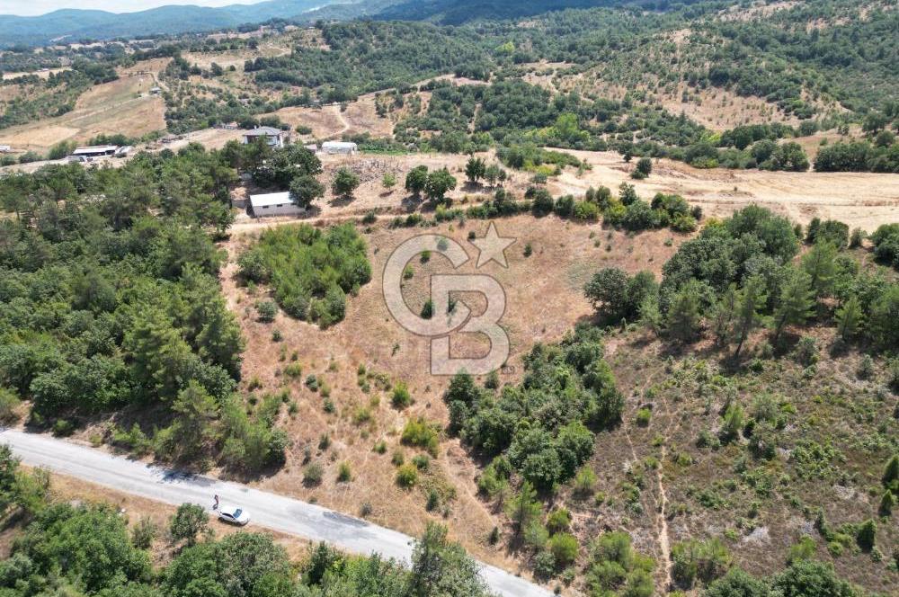 ÇANAKKALE ÇAN TERZİALAN'DA EKOTURİZM İMARLI SATILIK ARSA