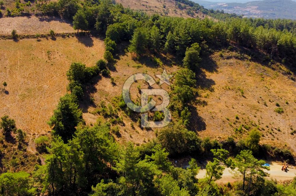 Çanakkalenin Kazandıran Bölgesi Çan'da NEF Projesine Yakın Arsa