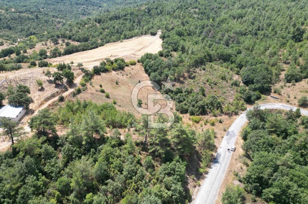 ÇANAKKALE ÇAN TERZİALAN'DA EKOTURİZM İMARLI SATILIK ARSA