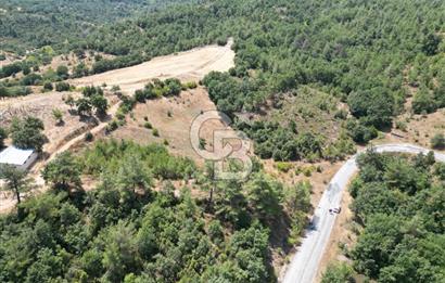 ÇANAKKALE ÇAN TERZİALAN'DA EKOTURİZM İMARLI SATILIK ARSA