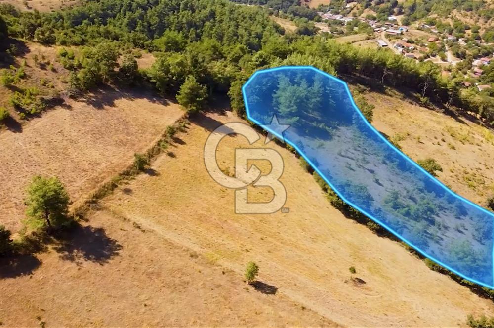 Çanakkalenin Kazandıran Bölgesi Çan'da NEF Projesine Yakın Arsa