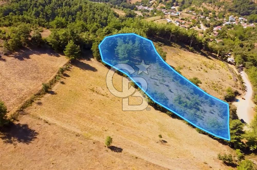 Çanakkalenin Kazandıran Bölgesi Çan'da NEF Projesine Yakın Arsa