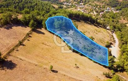 Çanakkalenin Kazandıran Bölgesi Çan'da NEF Projesine Yakın Arsa