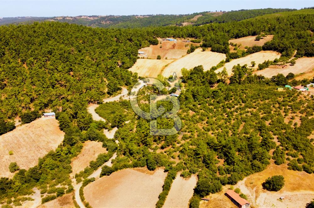 Çanakkalenin Kazandıran Bölgesi Çan'da NEF Projesine Yakın Arsa
