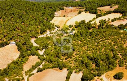 Çanakkalenin Kazandıran Bölgesi Çan'da NEF Projesine Yakın Arsa