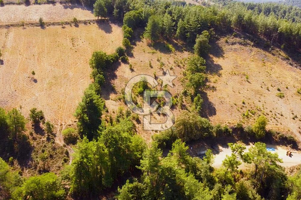 Çanakkalenin Kazandıran Bölgesi Çan'da NEF Projesine Yakın Arsa