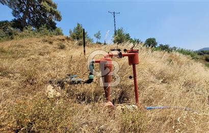 ÖDEMİŞ'TE ZEYTİNLİK FIRSATI 