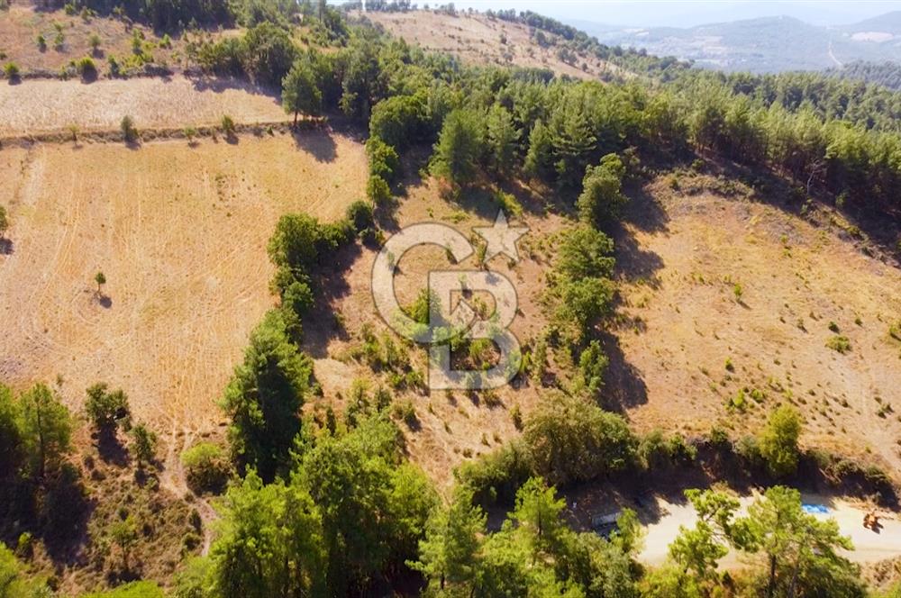Çanakkalenin Kazandıran Bölgesi Çan'da NEF Projesine Yakın Arsa
