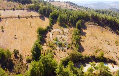 Çanakkalenin Kazandıran Bölgesi Çan'da NEF Projesine Yakın Arsa