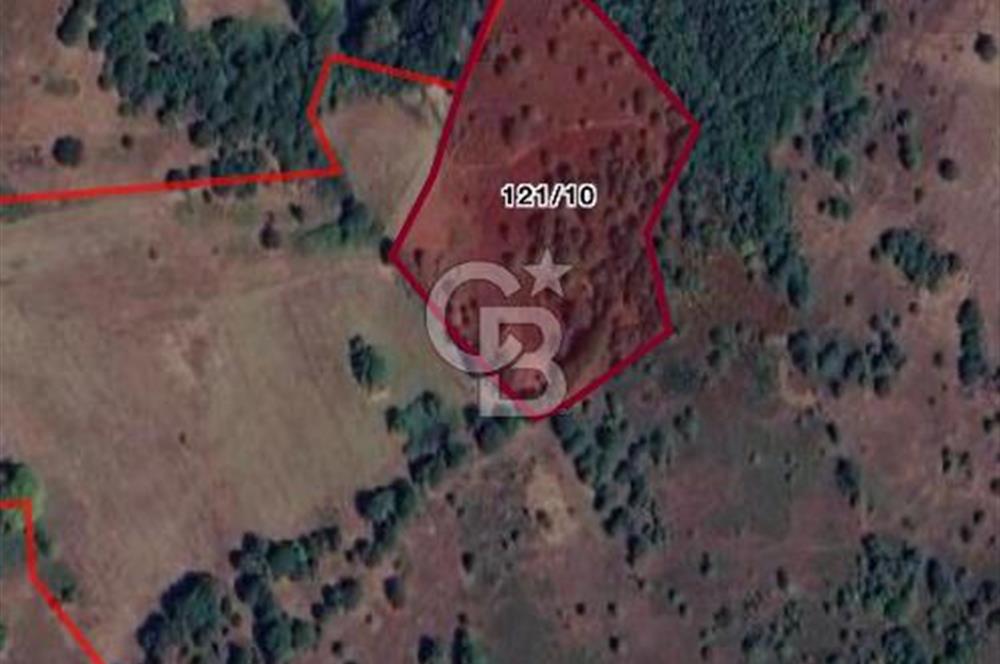 ÇANAKKALE BİGA YOLİNDİ KÖYÜ SATILIK TARLA