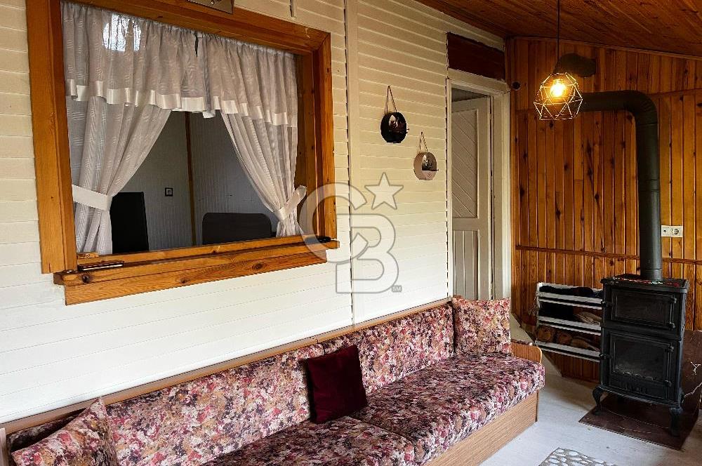 BURSA NİLÜFER ALAADDİNBEY'DE DEVREN SATILIK HOBİ BAHÇESİ VE EVİFavorilerime EkleYazdırFacebook ile paylaş X ile paylaş E-posta ile gönder