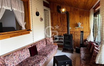 BURSA NİLÜFER ALAADDİNBEY'DE DEVREN SATILIK HOBİ BAHÇESİ VE EVİFavorilerime EkleYazdırFacebook ile paylaş X ile paylaş E-posta ile gönder