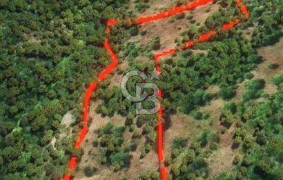 ÇANAKKALE BİGA KAZMALI KÖYÜ SATILIK TARLA