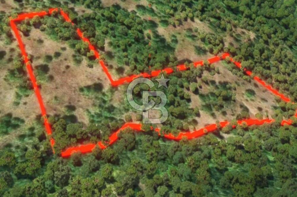 ÇANAKKALE BİGA KAZMALI KÖYÜ SATILIK TARLA
