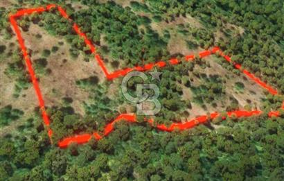 ÇANAKKALE BİGA KAZMALI KÖYÜ SATILIK TARLA