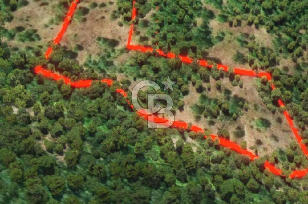 ÇANAKKALE BİGA KAZMALI KÖYÜ SATILIK TARLA