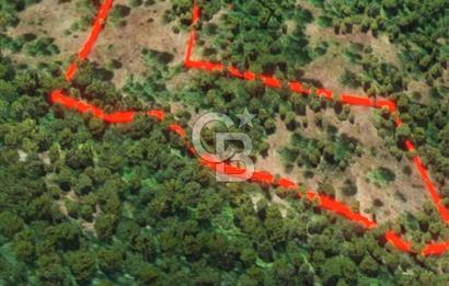 ÇANAKKALE BİGA KAZMALI KÖYÜ SATILIK TARLA