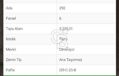 BALA/ YÖRELİ MAH'DE SATILIK UYGUN FİYAT TEK TAPU TARLA