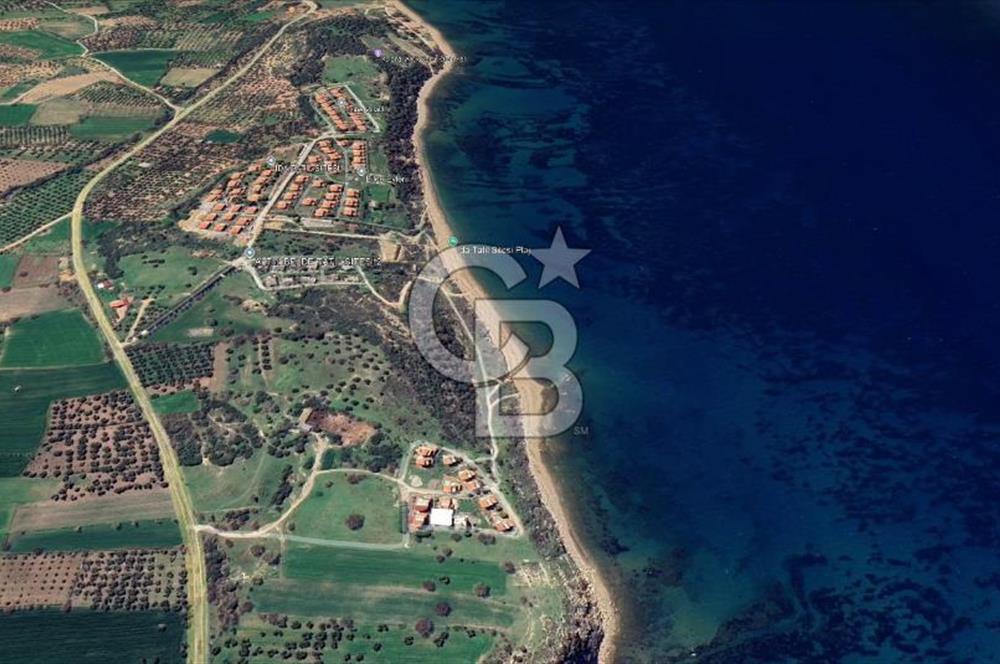 Çanakkale Ezine Alemşah'Da Denize 150 Metre Mesafede 291 m2 Arsa