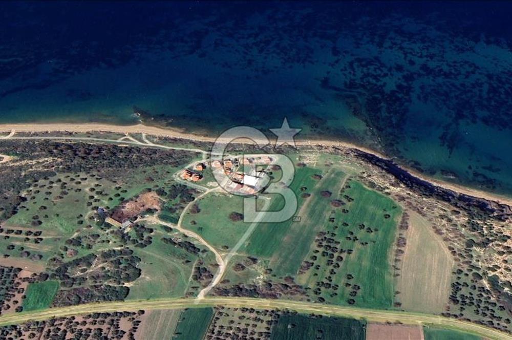 Çanakkale Ezine Alemşah'Da Denize 150 Metre Mesafede 291 m2 Arsa
