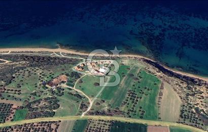 Çanakkale Ezine Alemşah'Da Denize 150 Metre Mesafede 291 m2 Arsa