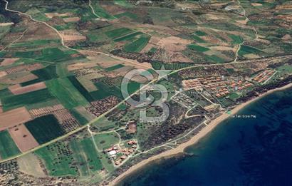 Çanakkale Ezine Alemşah'Da Denize 150 Metre Mesafede 291 m2 Arsa
