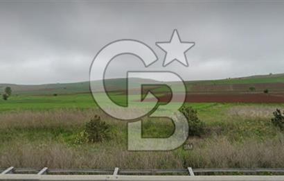 Bozüyük Poyra Mah’de Yol Cepheli 3.981 m² Tarla – Akaryakıt Potansiyelli Lokasyon!