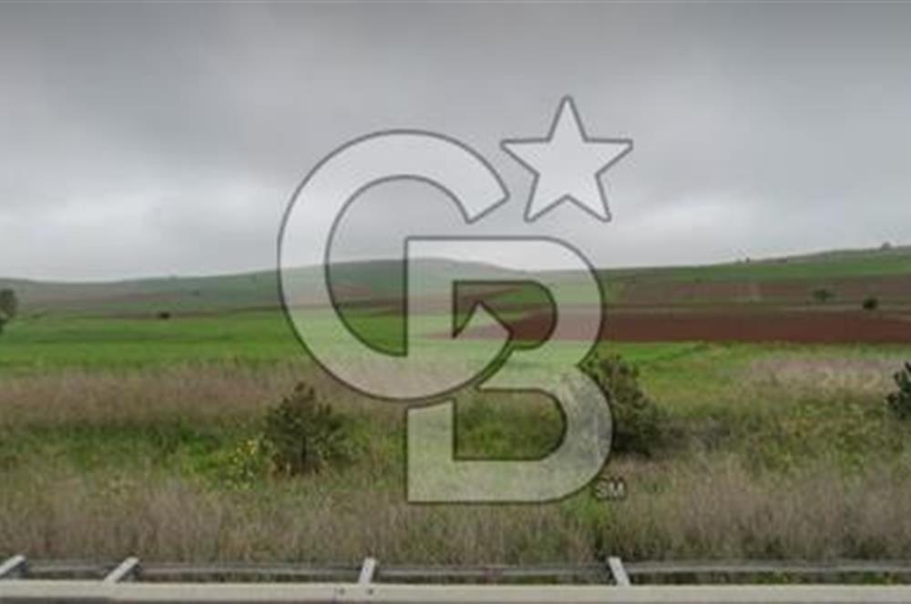 Bozüyük Poyra Mah’de Yol Cepheli 3.981 m² Tarla – Akaryakıt Potansiyelli Lokasyon!