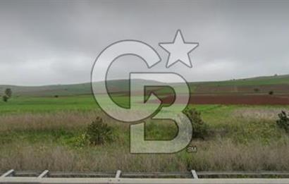 Bozüyük Poyra Mah’de Yol Cepheli 3.981 m² Tarla – Akaryakıt Potansiyelli Lokasyon!