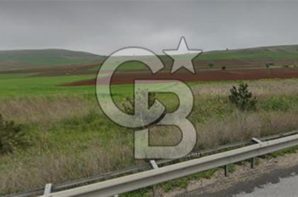 Bozüyük Poyra Mah’de Yol Cepheli 3.981 m² Tarla – Akaryakıt Potansiyelli Lokasyon!