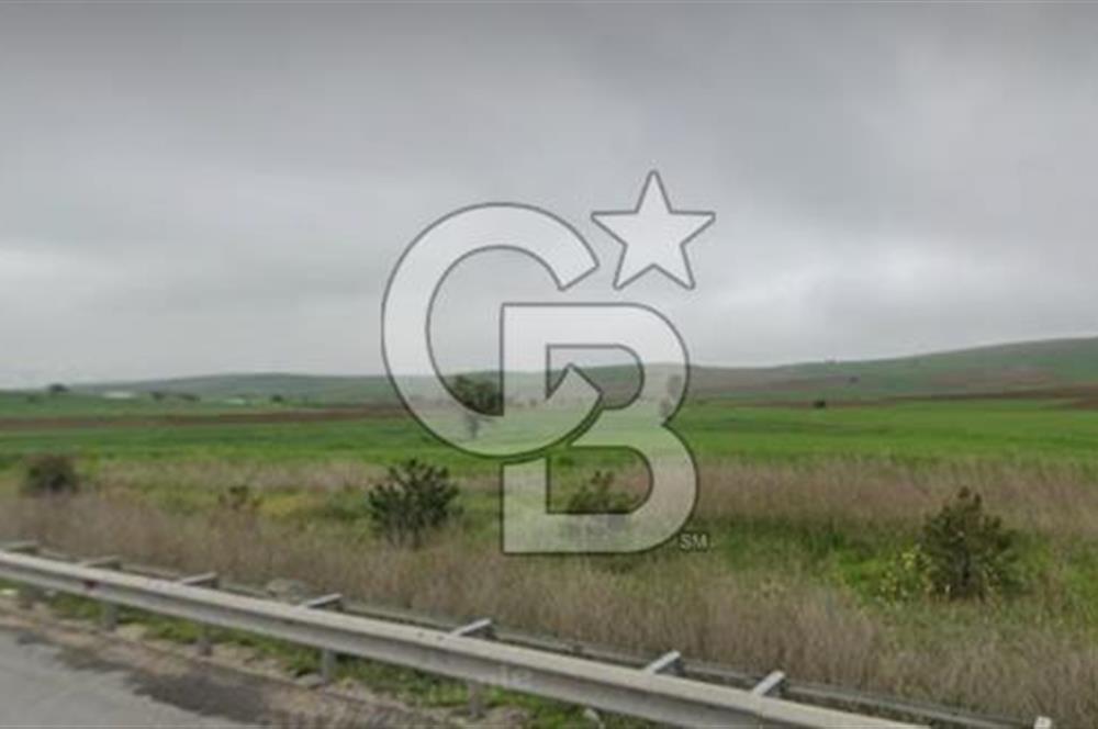 Bozüyük Poyra Mah’de Yol Cepheli 3.981 m² Tarla – Akaryakıt Potansiyelli Lokasyon!