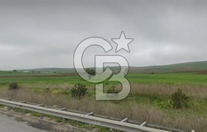 Bozüyük Poyra Mah’de Yol Cepheli 3.981 m² Tarla – Akaryakıt Potansiyelli Lokasyon!