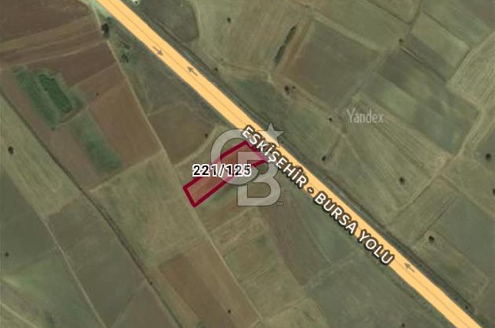 Bozüyük Poyra Mah’de Yol Cepheli 3.981 m² Tarla – Akaryakıt Potansiyelli Lokasyon!