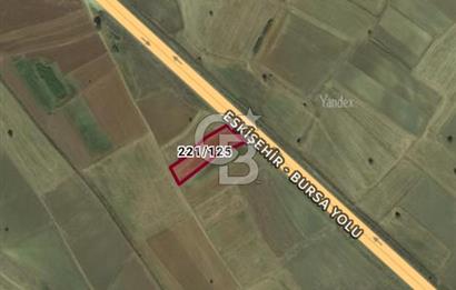 Bozüyük Poyra Mah’de Yol Cepheli 3.981 m² Tarla – Akaryakıt Potansiyelli Lokasyon!