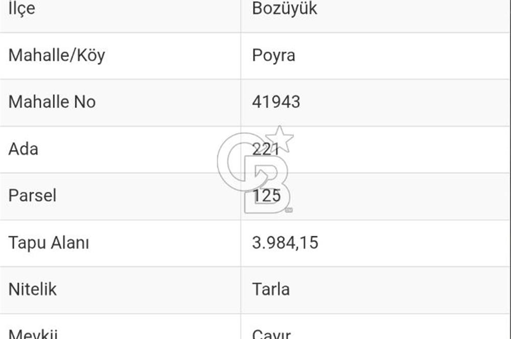 Bozüyük Poyra Mah’de Yol Cepheli 3.981 m² Tarla – Akaryakıt Potansiyelli Lokasyon!