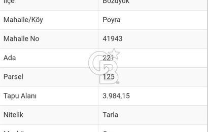 Bozüyük Poyra Mah’de Yol Cepheli 3.981 m² Tarla – Akaryakıt Potansiyelli Lokasyon!
